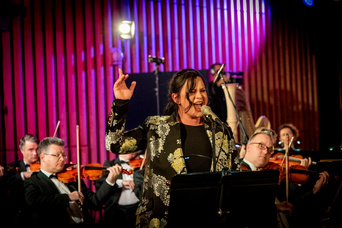 12. fotografie koncertu Hollywood Night 2020